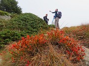 19 Il Piero dice che saliamo a sx
